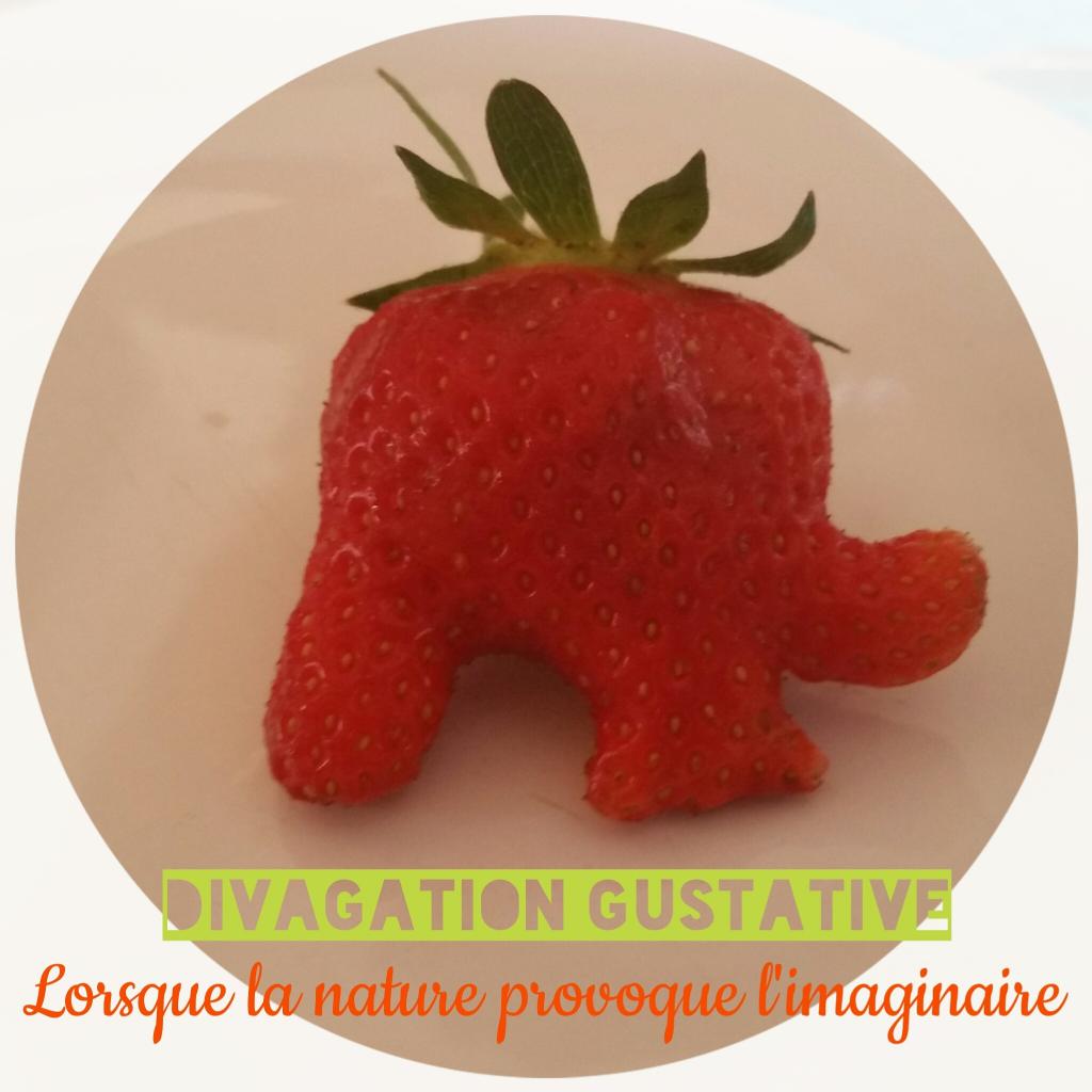 divagation gustative 