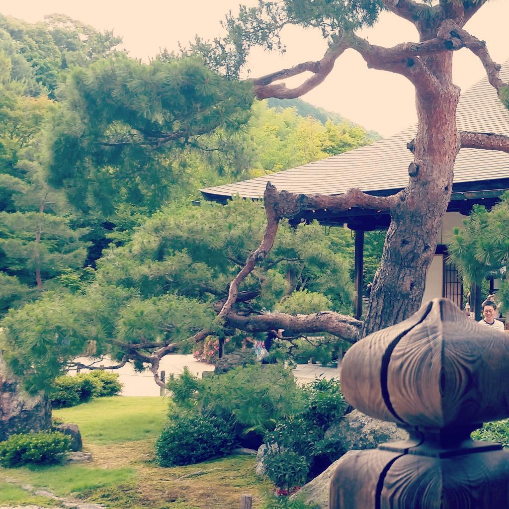 Magie des couleurs à Kyoto