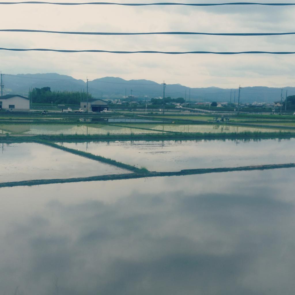 Une journée à Nara 