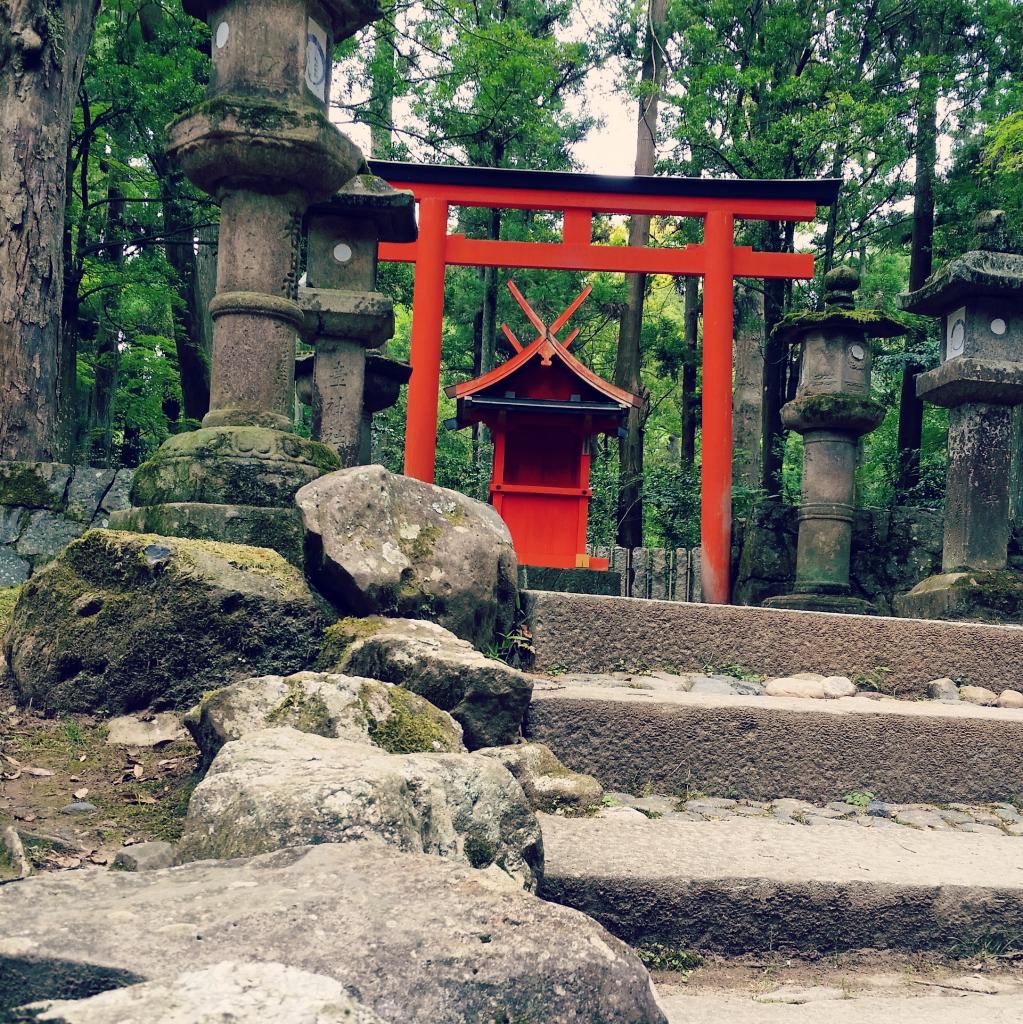 Une journée à Nara 