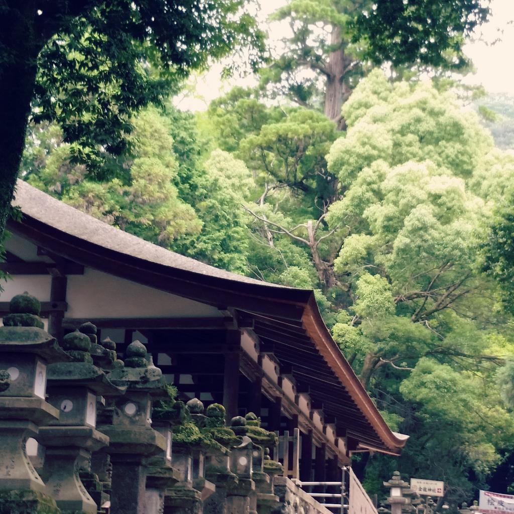 Une journée à Nara 