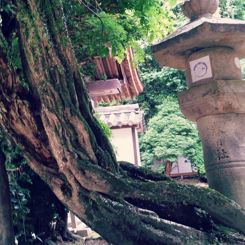 Une journée à Nara 