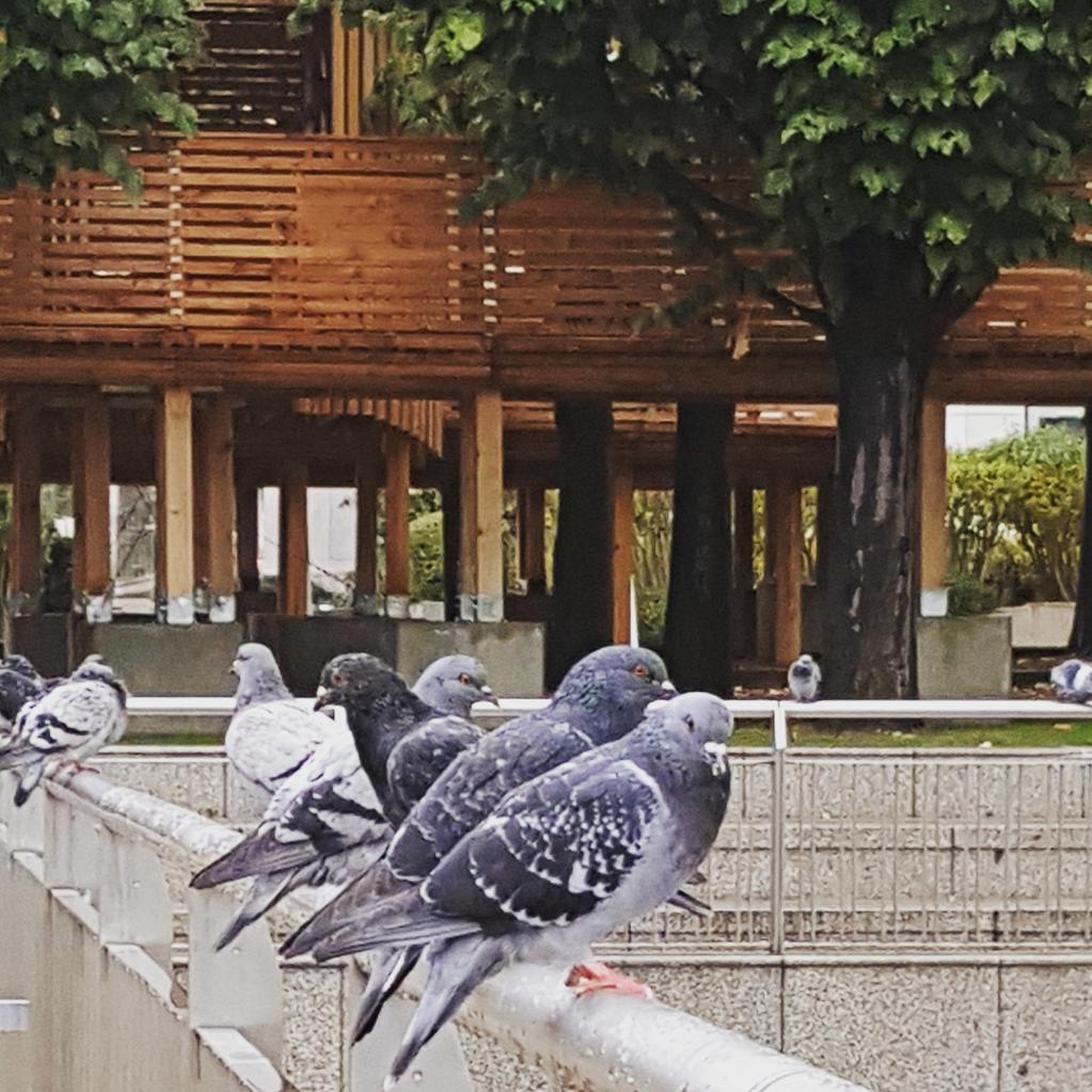 Esplanade de la Défense