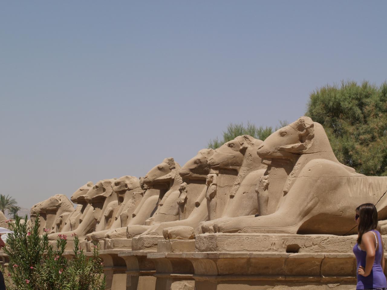 Les sphinx de Ramsès II